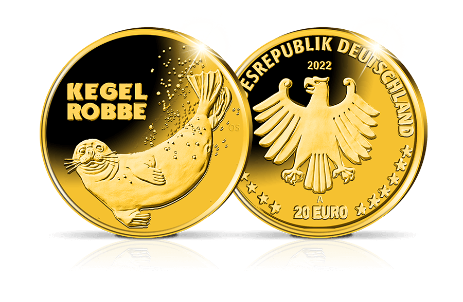 20-Euro-Goldmünze Kegelrobbe 2022